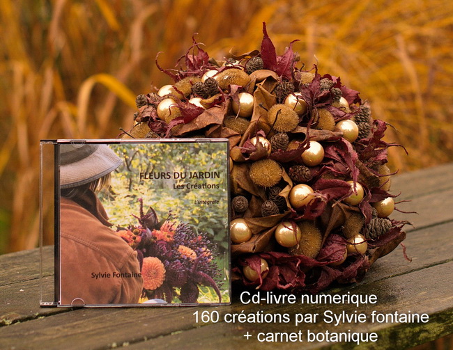 Sylvie Fontaine-livre numerique-cd-Fleurs du jardin