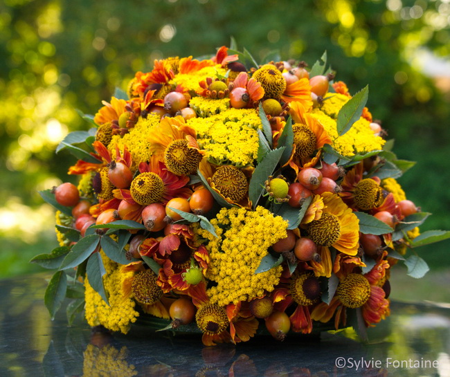 composition florale automnale cynorrhodons-helenium-achillee