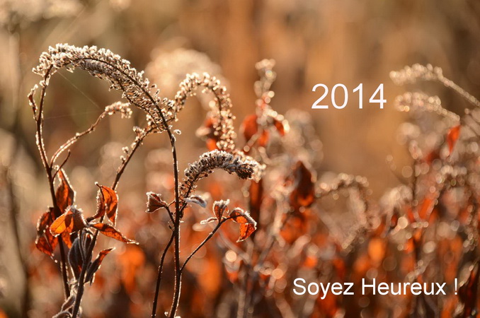 tous mes voeux de bonheur pour 2014