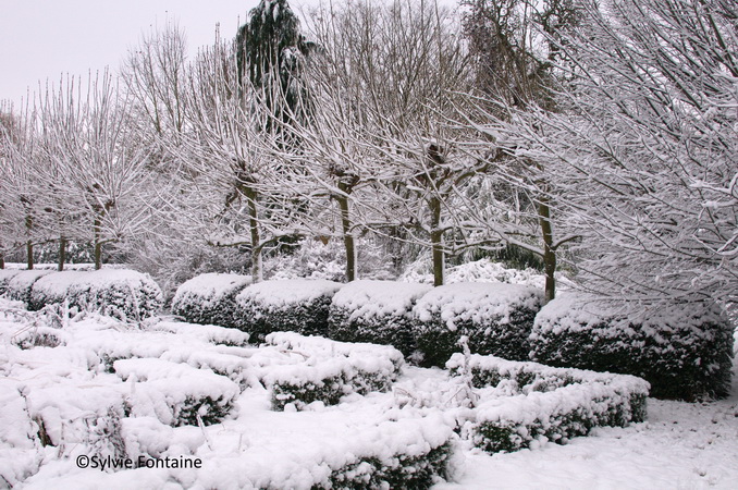 jardin-sylvie-fontaine-maroilles-sous-la-neige