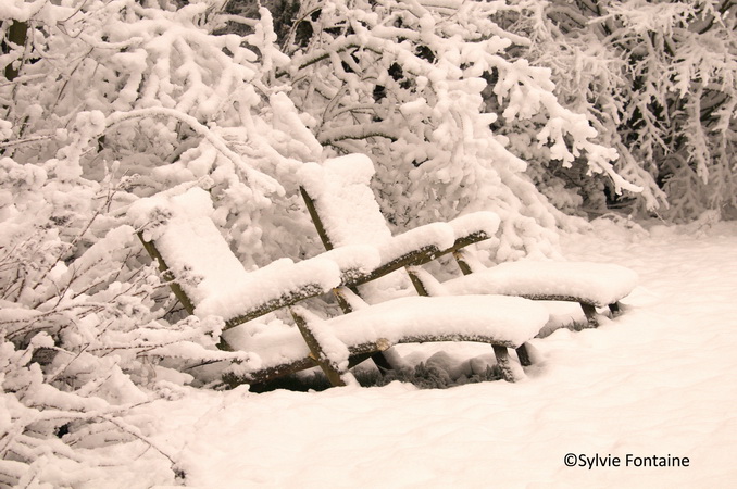 jardin-sylvie-fontaine-maroilles-sous-la-neige