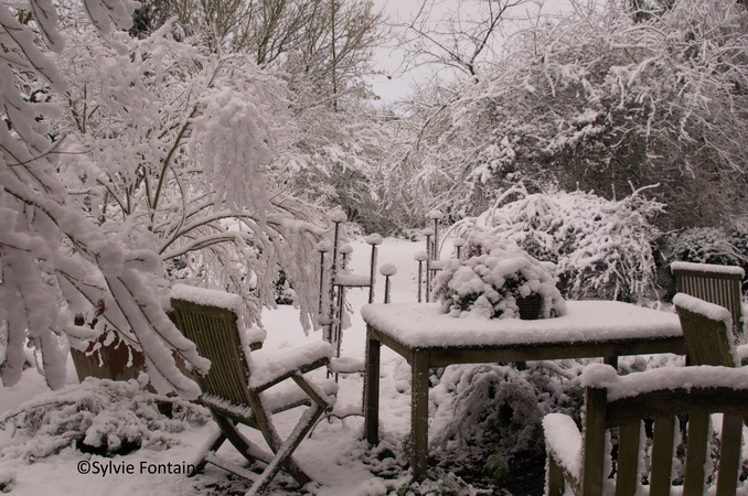 jardin-sylvie-fontaine-maroilles--sous-la-neige