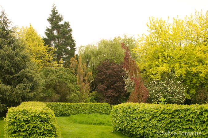 le printemps du jardin de sylvie fontaine