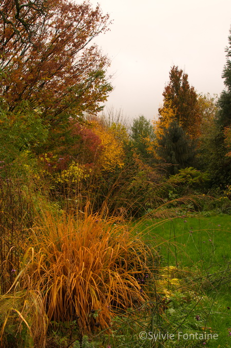 jardin de sylvie fontaine en automne -novembre 2013