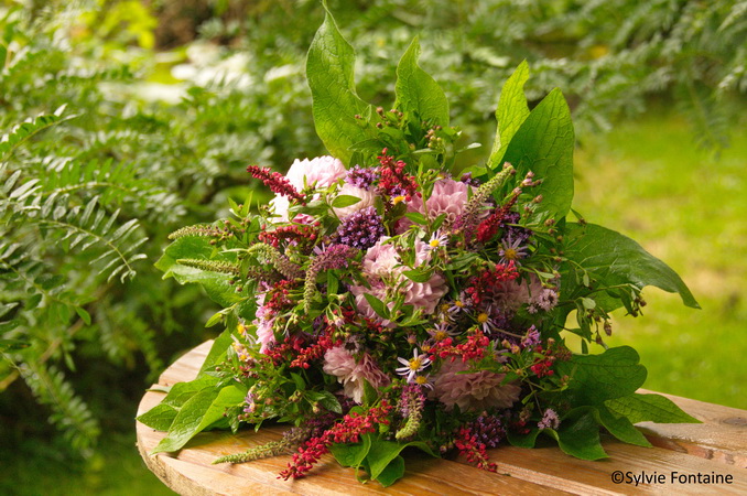 bouquet rond d'automne :aster,dahlia,persicaria, verbena, symphytum, menthe