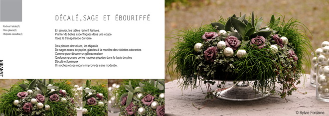 extrait du Cd-livre numerique Fleurs du jardin-les créations -ici composer avec les succulentes pour une table de fête