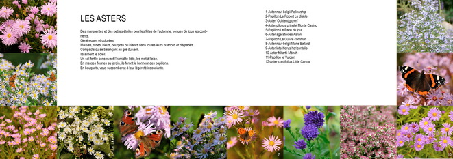 un carnet botanique pour découvrir toutes les plantes utilisées dans le livre -extrait du livre numerique Fleurs du jardin