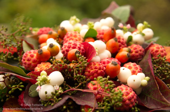 creation d'automne -jardin de sylvie fontaine