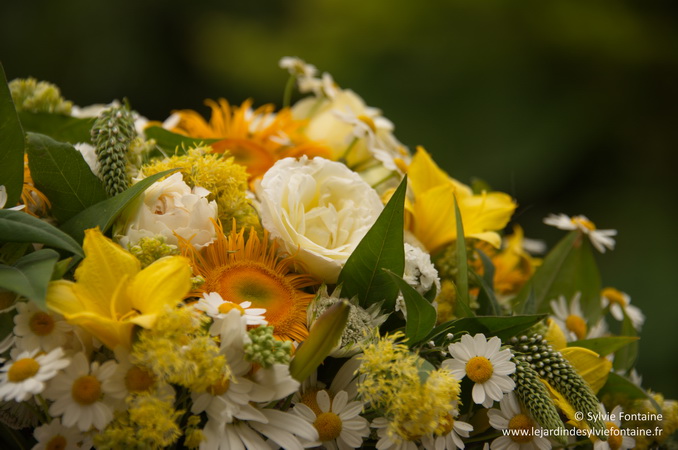 bouquet du jardin de sylvie fontaine