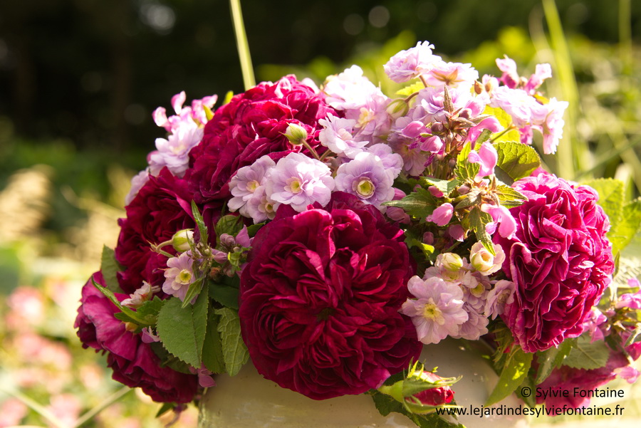 bouquet du jardin avec le rosier Charles de Mills - Sylvie Fontaine