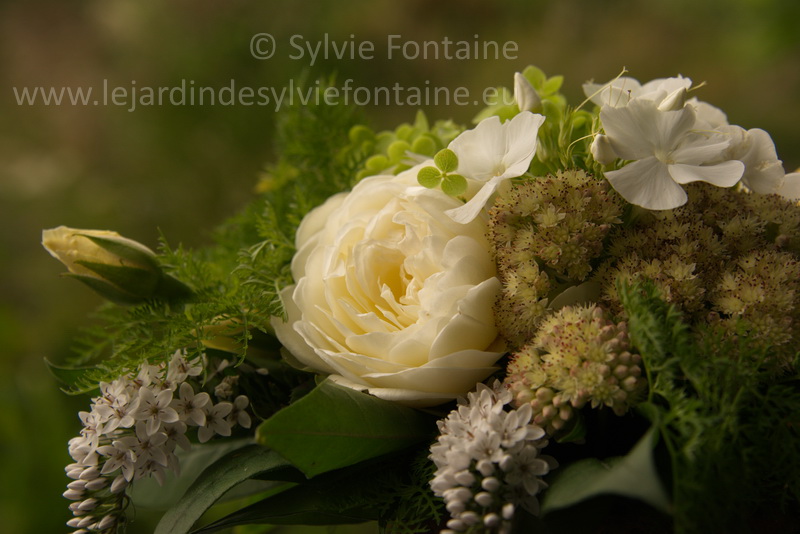 bouquet signé sylvie fontaine avec les fleurs du jardin et la rose Claire Austin