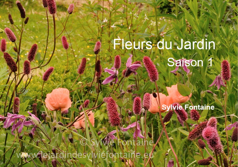 couverture saison1-Fleurs du jardin-Les créations florales-Sylvie Fontaine