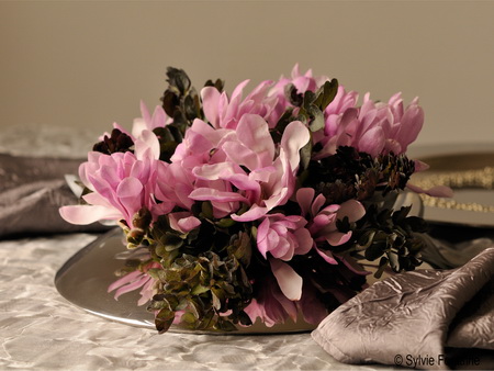 magnolia-leonard-messel-en-bouquet