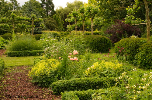 dessiner-un jardin-stage-jardin-sylvie-fontaine-nord-maroilles