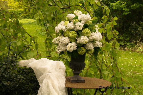 LILAS_VIBURNUM_JARDIN_SYLVIE_FONTAINE_MAROILLES