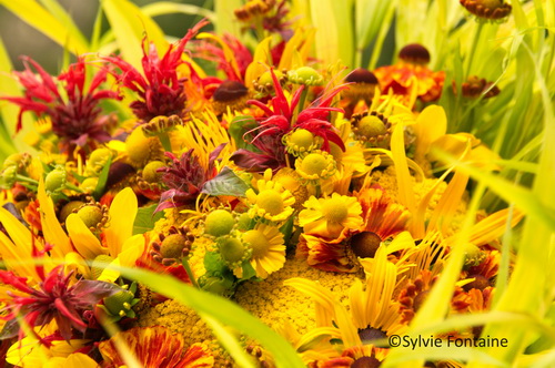 bouquet-helenium_monarde-achillee-hakonechloa-sylvie-fontaine