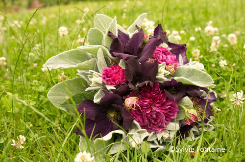 bouquet-clematite-rose-charles-de-mills-stachys