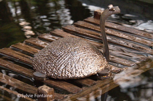 creation-ceramique-tortue-au-jardin