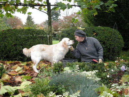 plantation_des_bulbes_dans_le_nouveau_ jardin plantation_des_bulbes_dans_le_nouveau_ jardin