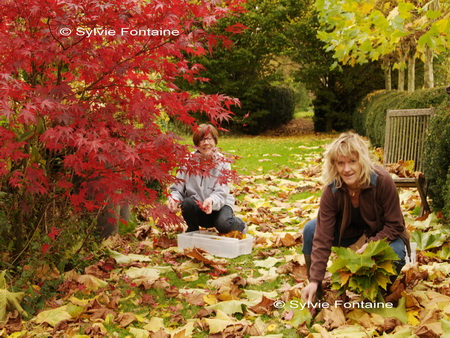 Echappee creative au jardin de sylvie fontaine à Maroilles