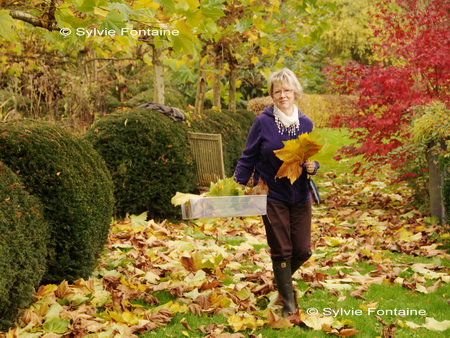 echappee creative d'automne au jardin de sylvie fontaine à Maroilles