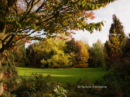 Ballade d'automne au jardin de Sylvie Fontaine